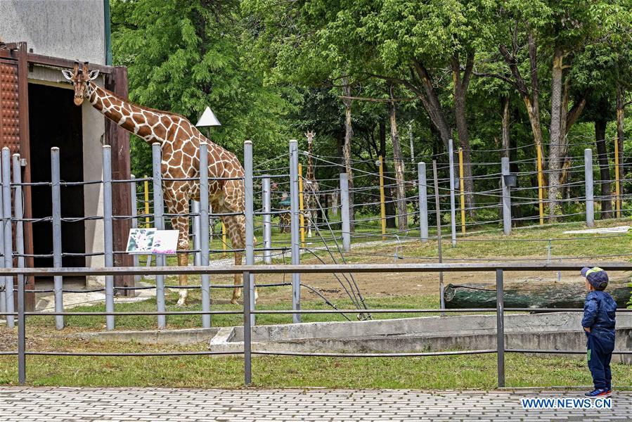 NORTH MACEDONIA-SKOPJE-ZOO-REOPENING