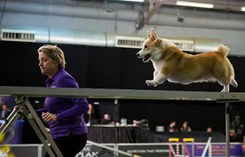 Xinhua photos of the day