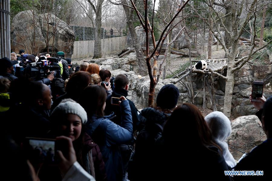 U.S.-WASHINGTON D.C.-NATIONAL ZOO-GAINT PANDA HOUSE-HOUSEWARMING EVENT