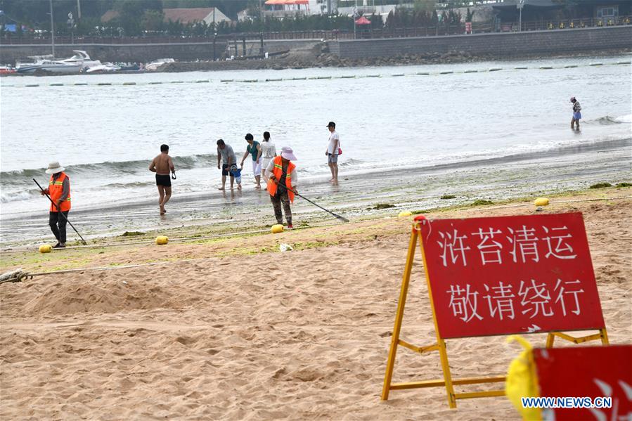 CHINA-QINGDAO-ALGAE-CLEAN (CN)