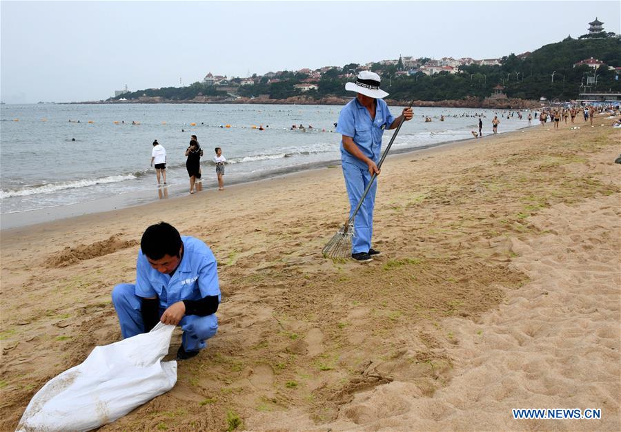 CHINA-QINGDAO-ALGAE-CLEAN (CN)