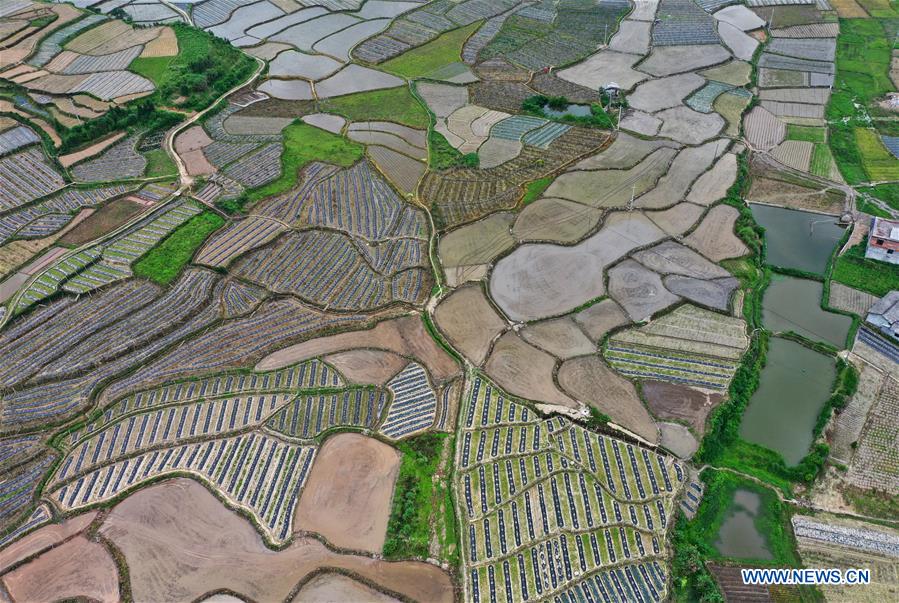 CHINA-GUANGXI-FARMLAND-SCENERY (CN)