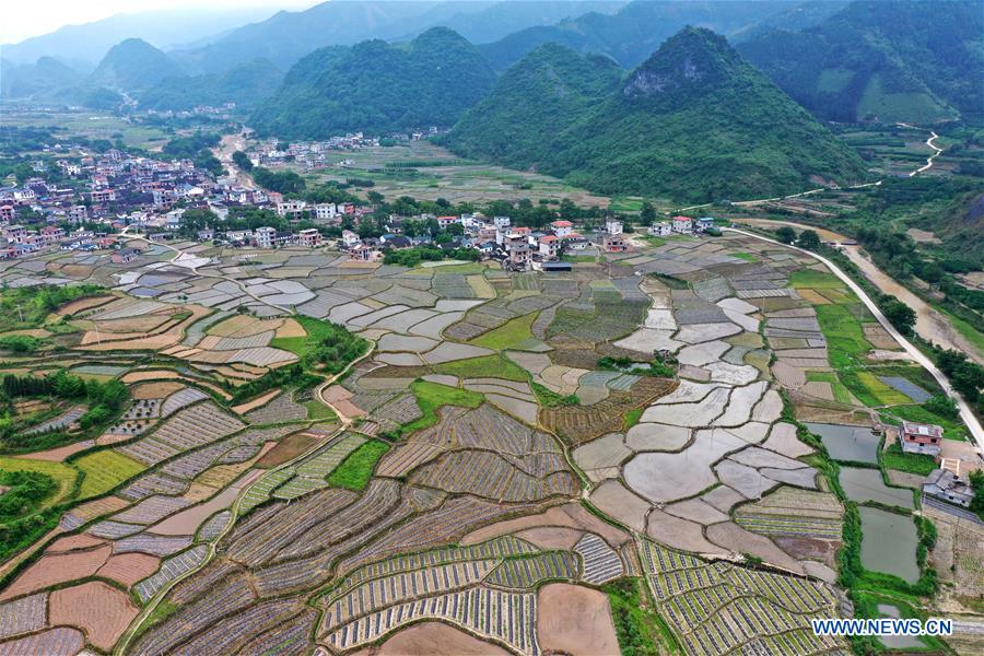 CHINA-GUANGXI-FARMLAND-SCENERY (CN)