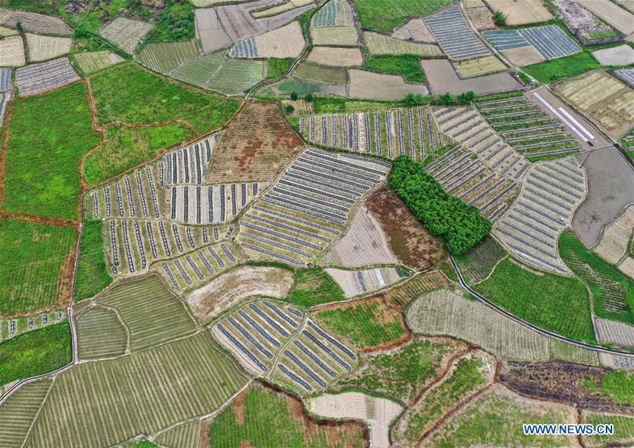 CHINA-GUANGXI-FARMLAND-SCENERY (CN)