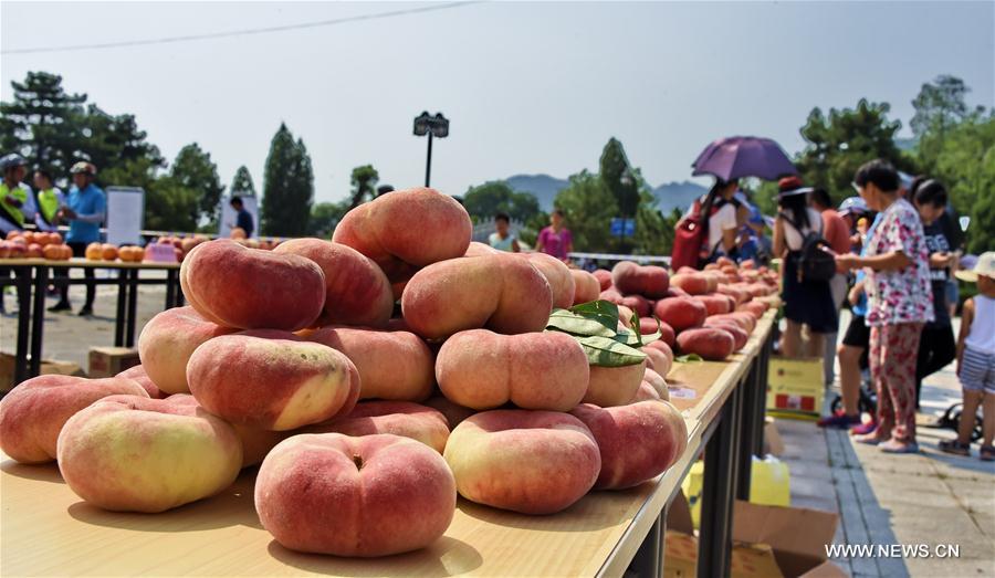 CHINA-BEIJING-PINGGU-PEACH FAIR (CN) 