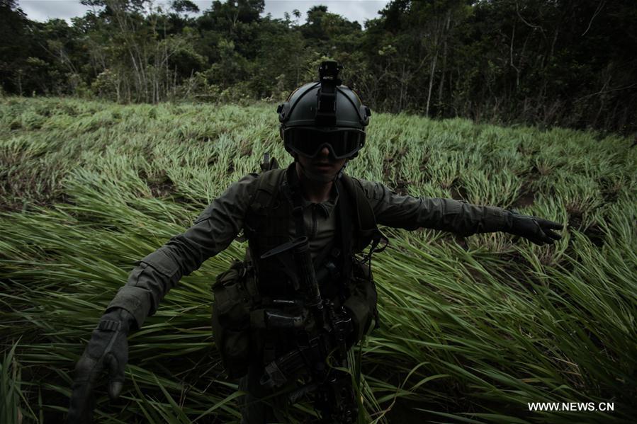 A member of the jungle group of the Counter-narcotics Police takes action in a rural zone of Calamar Municipality, Guaviare Department, Colombia, on Aug. 2, 2016.