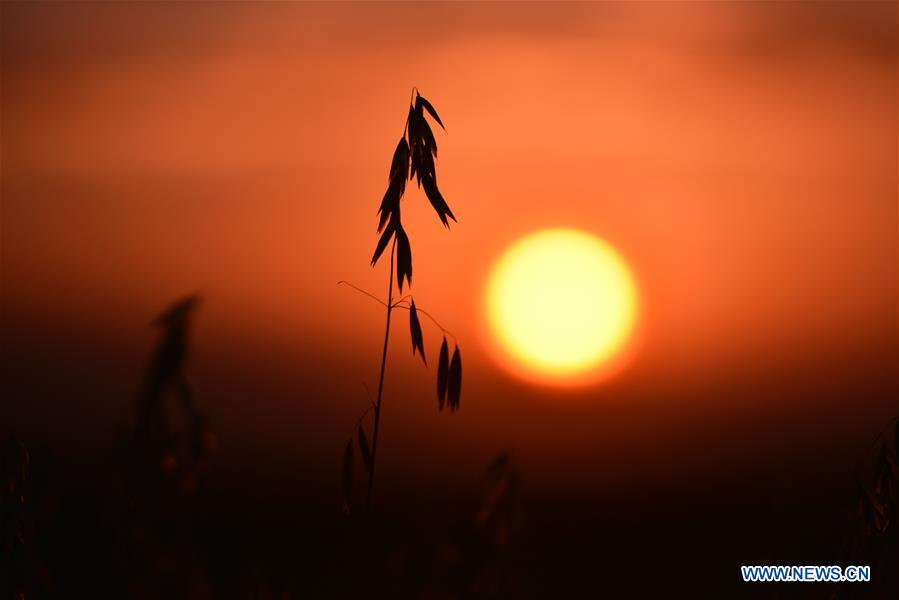 XINHUA PHOTO WEEKLY CHOICES