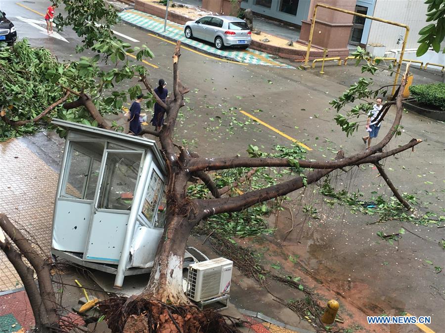 #CHINA-FUJIAN-TYPHOON MERANTI-LANDFALL (CN*)