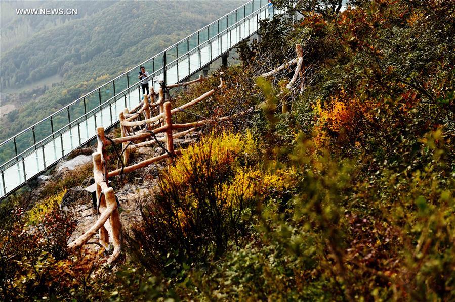 CHINA-HEILONGJIANG-MAOR MOUNTAIN NATIONAL FOREST PARK(CN)