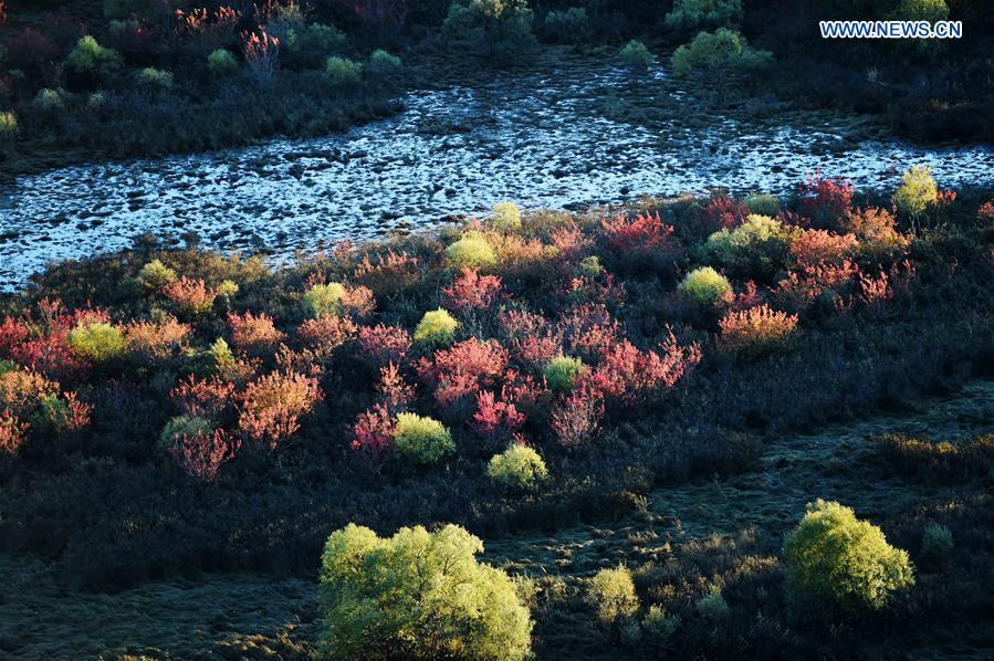 CHINA-HEILONGJIANG-ZHENBAO ISLAND-SCENERY (CN) 