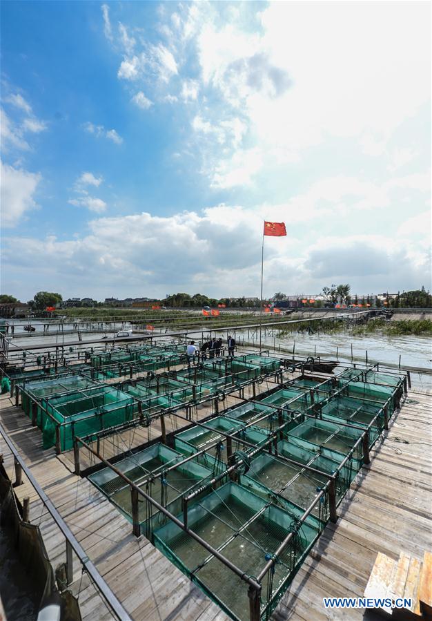 CHINA-ZHEJIANG-HUZHOU-TAIHU CRABS-HARVEST (CN)