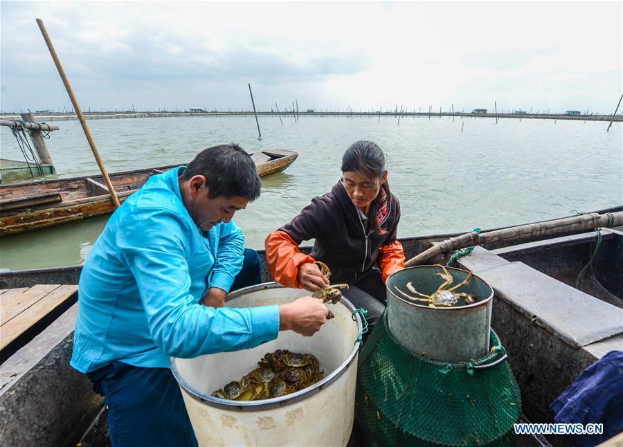 CHINA-ZHEJIANG-HUZHOU-TAIHU CRABS-HARVEST (CN)