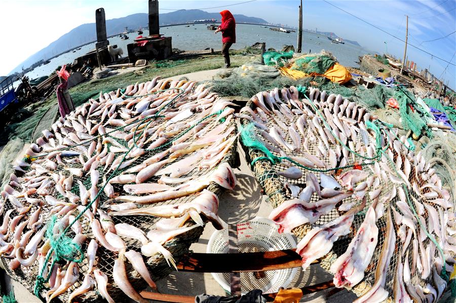 #CHINA-JIANGSU-DRY FISH (CN)