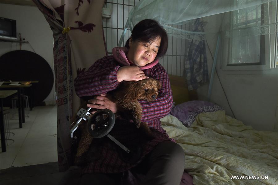 CHINA-ANHUI-DISABLED DOG-MOBILITY-KIND PEOPLE (CN)