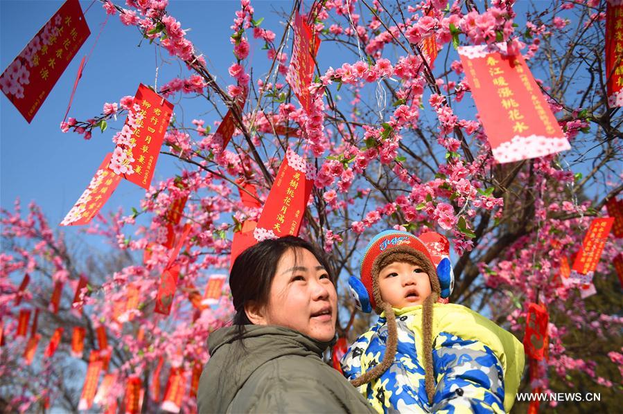 People pose for photos under a tree during a temple fair celebrating the Chinese Lunar New Year in Hohhot, capital of north China's Inner Mongolia Autonomous Region, Feb. 2, 2017. 