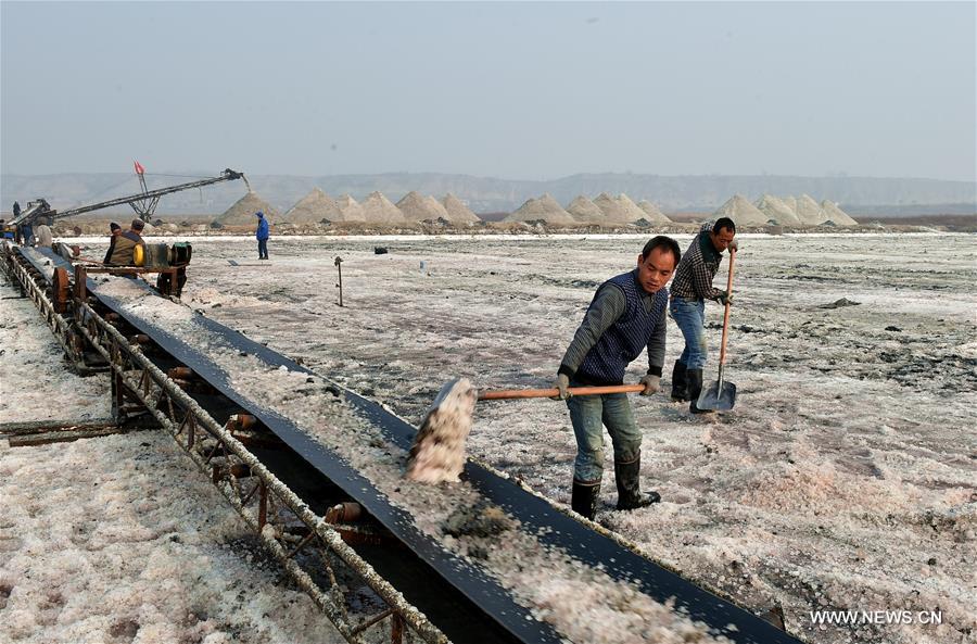 Workers shovel magnesium sulfate on the salt lake of Yuncheng, north China's Shanxi Province, Feb. 16, 2017. (Xinhua/Cao Yang) 