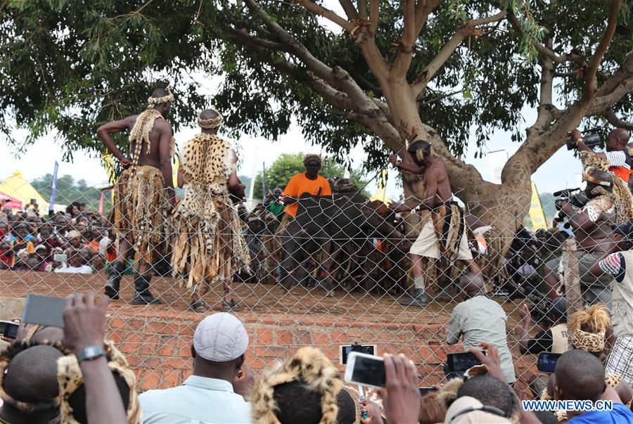 ZAMBIA-CHIPATA-NCWALA CEREMONY