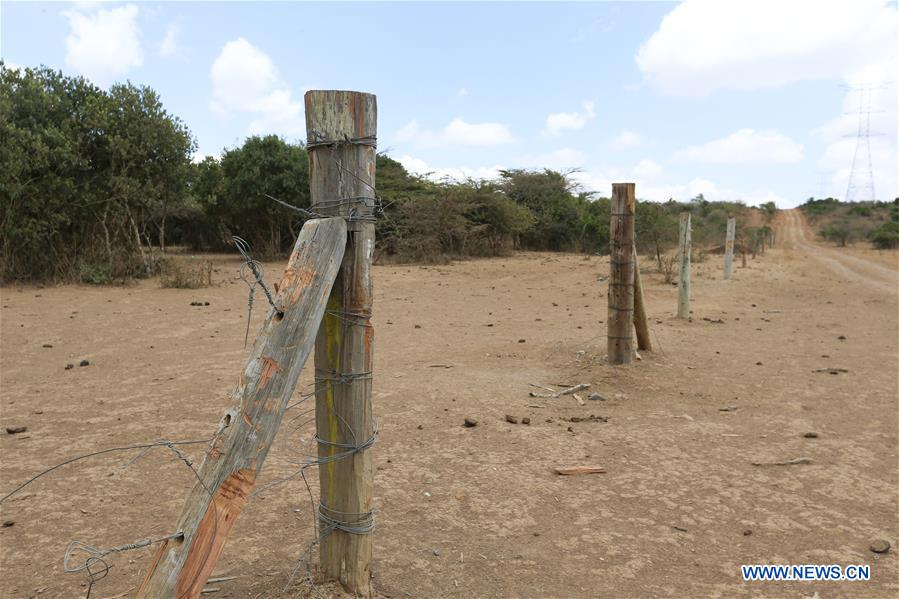 KENYA-MUGIE WILDLIFE CONSERVANCY-ILLEGAL HERDING