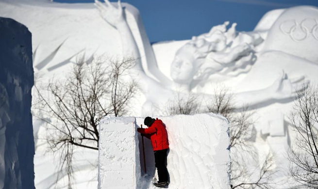 Highlights of Harbin Int'l Snow Sculpture Competition