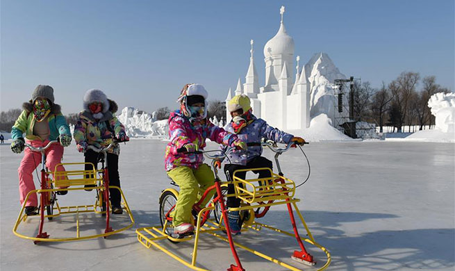 Tourists play at Int'l Snow Sculpture Art Expo in Harbin