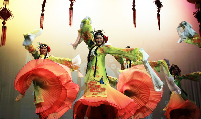 Chinese cultural performance for Chinese New Year held in Jordan