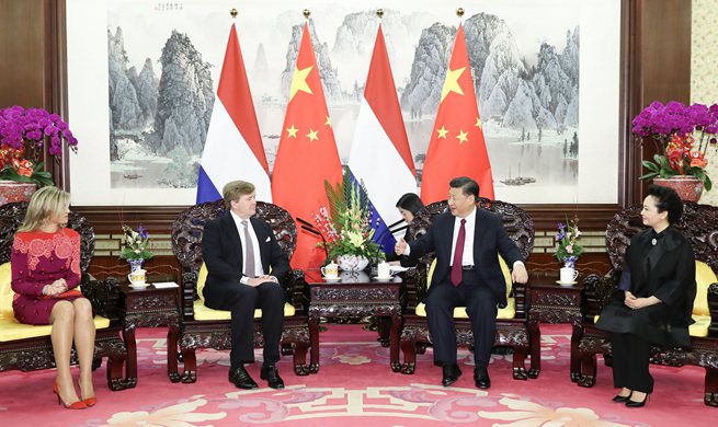 Chinese president meets Dutch king, calls for closer cooperation on B&R construction
