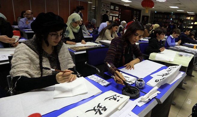 "Ambassador's Cup" Chinese calligraphy competition held in Jordan