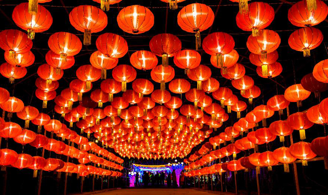 Lantern fair held to celebrate Lunar New Year across China