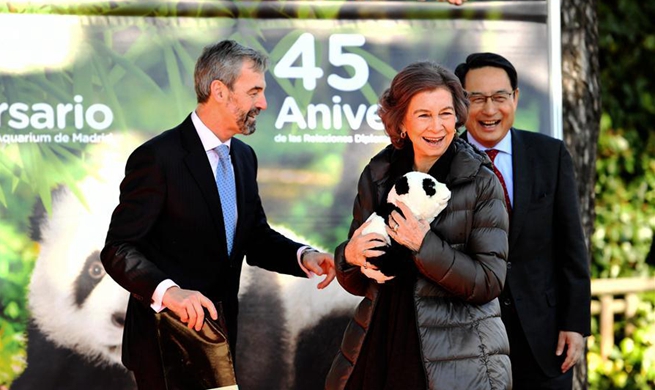 China, Spain extend giant panda loan agreement