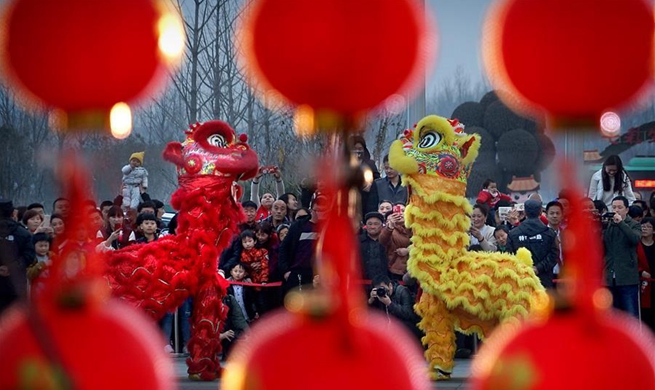 Lantern fair held in Zhengzhou, central China's Henan