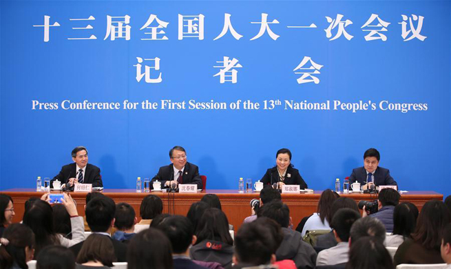 In pics: press conference on constitutional revision