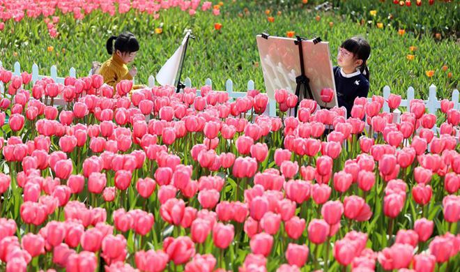 In pics: The color of spring