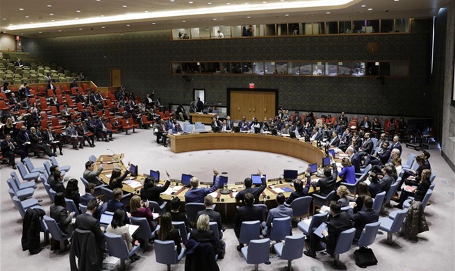 Security Council extends mandate of UN mission in DRC