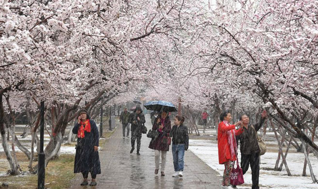 Cold front brings snowfall to Hohhot in early spring