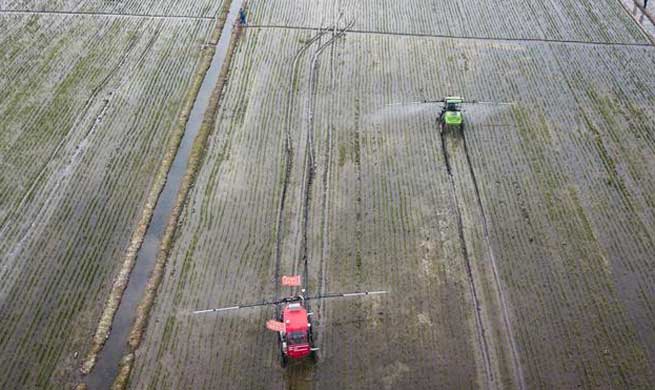 Unmanned sprayer, harvester, rice transplanter work in field in E China