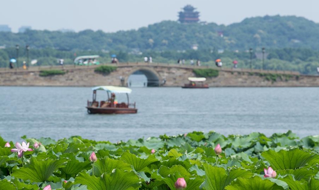 Lotus flowers draw tourists at West Lake scenic area in Hangzhou