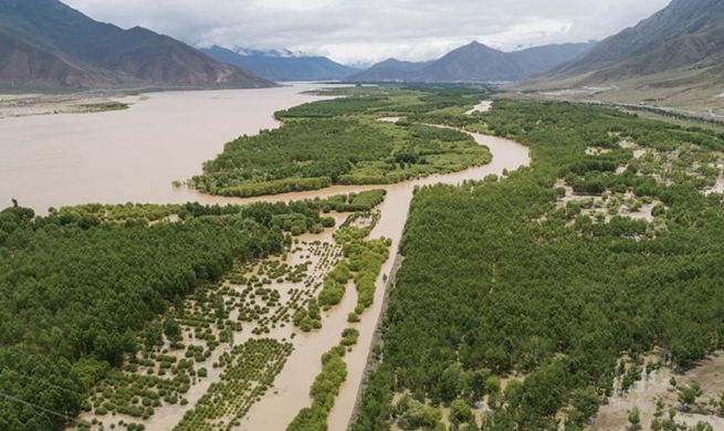 Achievements made in desert control along Yarlung Zangbo River in SW China