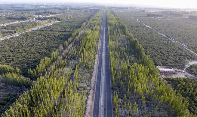 Xinhua Headlines: Man-made oasis: Xinjiang's "green wall" fights expanding desert