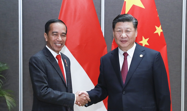 China, Indonesia agree to promote bilateral cooperation