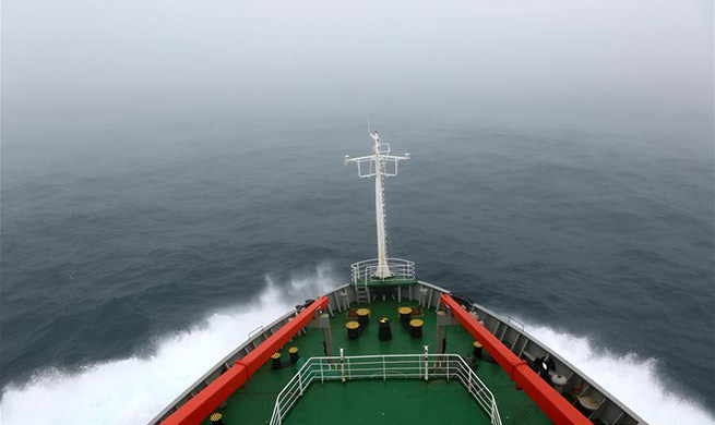 China's icebreaker Xuelong crosses stormy westerlies enroute to Antarctic