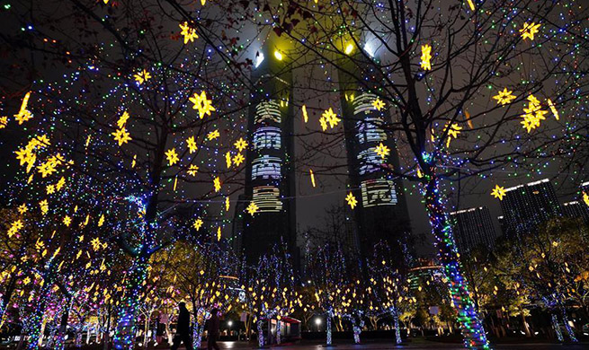 Fancy lanterns create festive atmosphere in Jiangxi