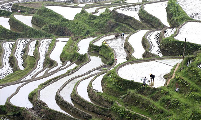 Farmers across China work on day of Guyu