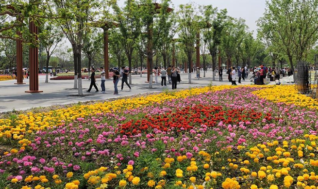 Beijing Int'l Horticultural Exhibition welcomes large number of tourists from home and abroad since opening