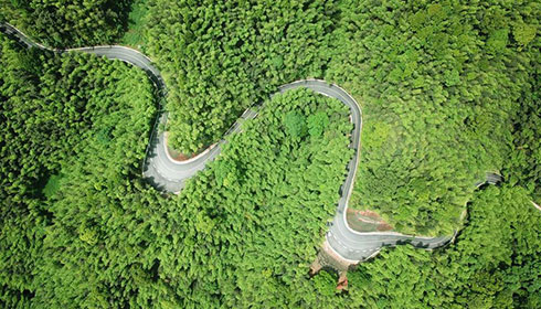 Upgraded mountain roads help people raise income in Chishui, SW China