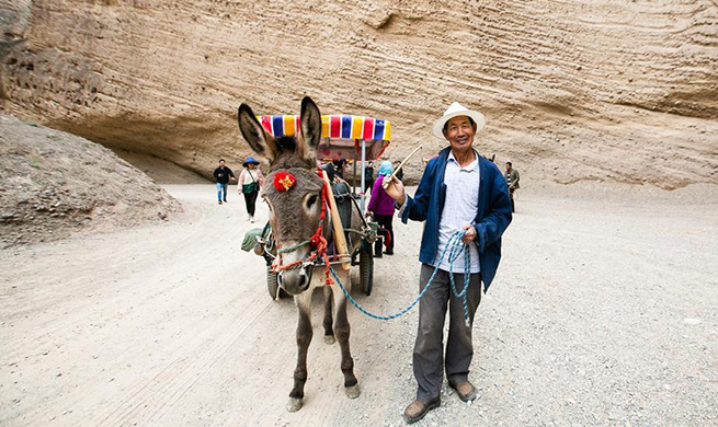 Donkey ride business booming at Yellow River Stone Forest Scenic Spot