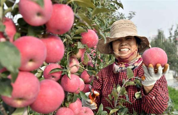 China's agriculture expands steadily