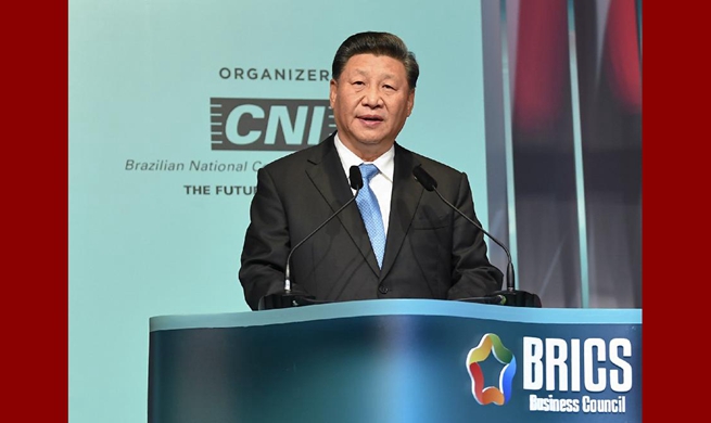 Xi urges business sector's active participation in BRICS cooperation