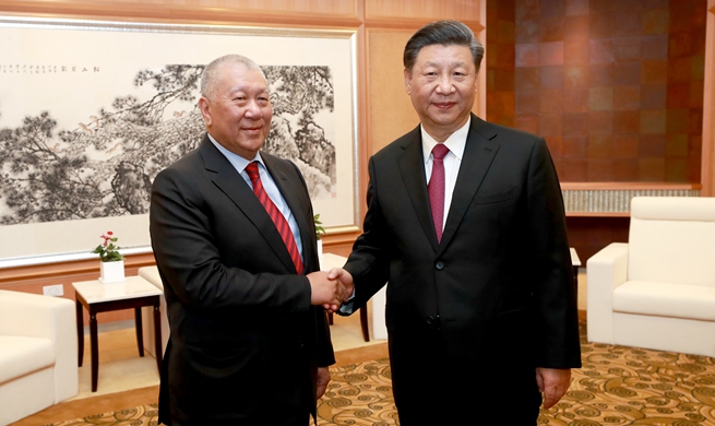 President Xi meets vice chairman of CPPCC National Committee Ho Hau Wah