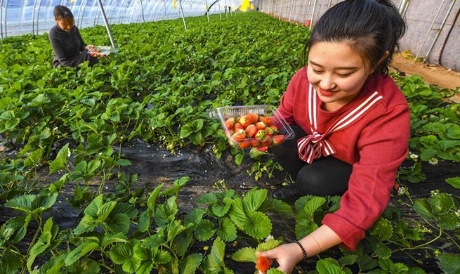 Ecological garden helps to develop rural tourism in Wuqiang, China's Hebei
