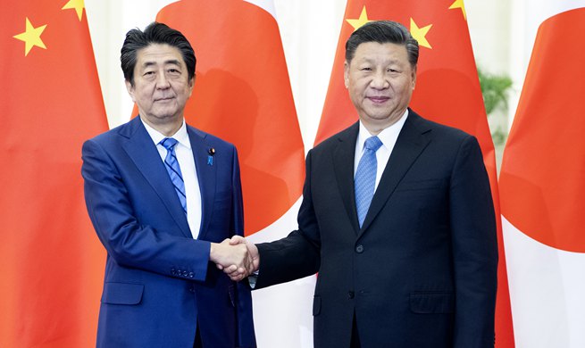 China-Japan ties face important development opportunities: Xi